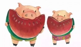 猪瓜怎么吃最好,这样吃最营养！